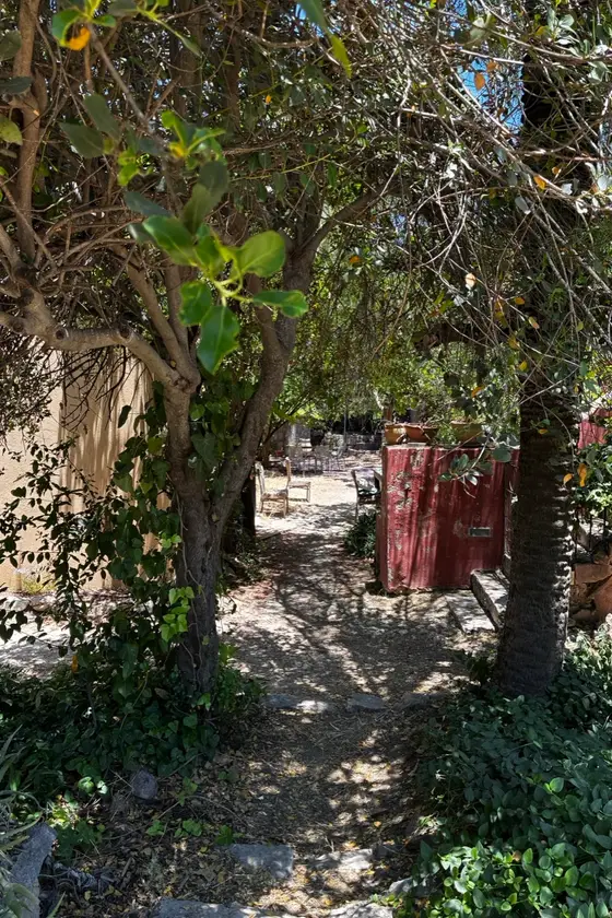 The path to the treatment room